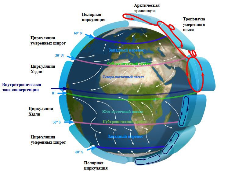 Расположение элементов общей циркуляции атмосферы